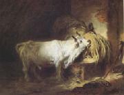 Jean Honore Fragonard The White Bull (mk05) oil on canvas